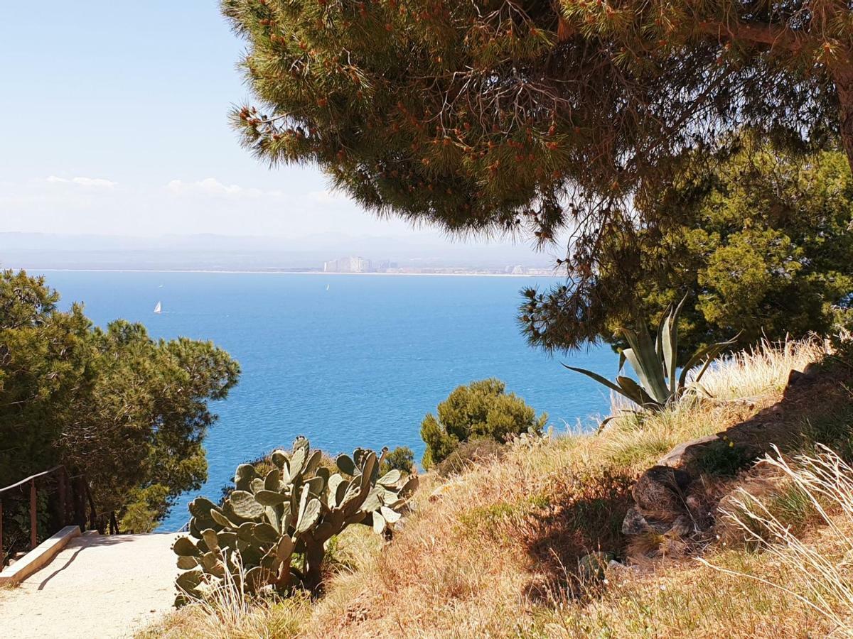 Studio Calme Avec Parking Et Ascenseur -304- Canet-en-Roussillon Eksteriør billede